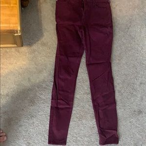 Hollister burgundy pants
